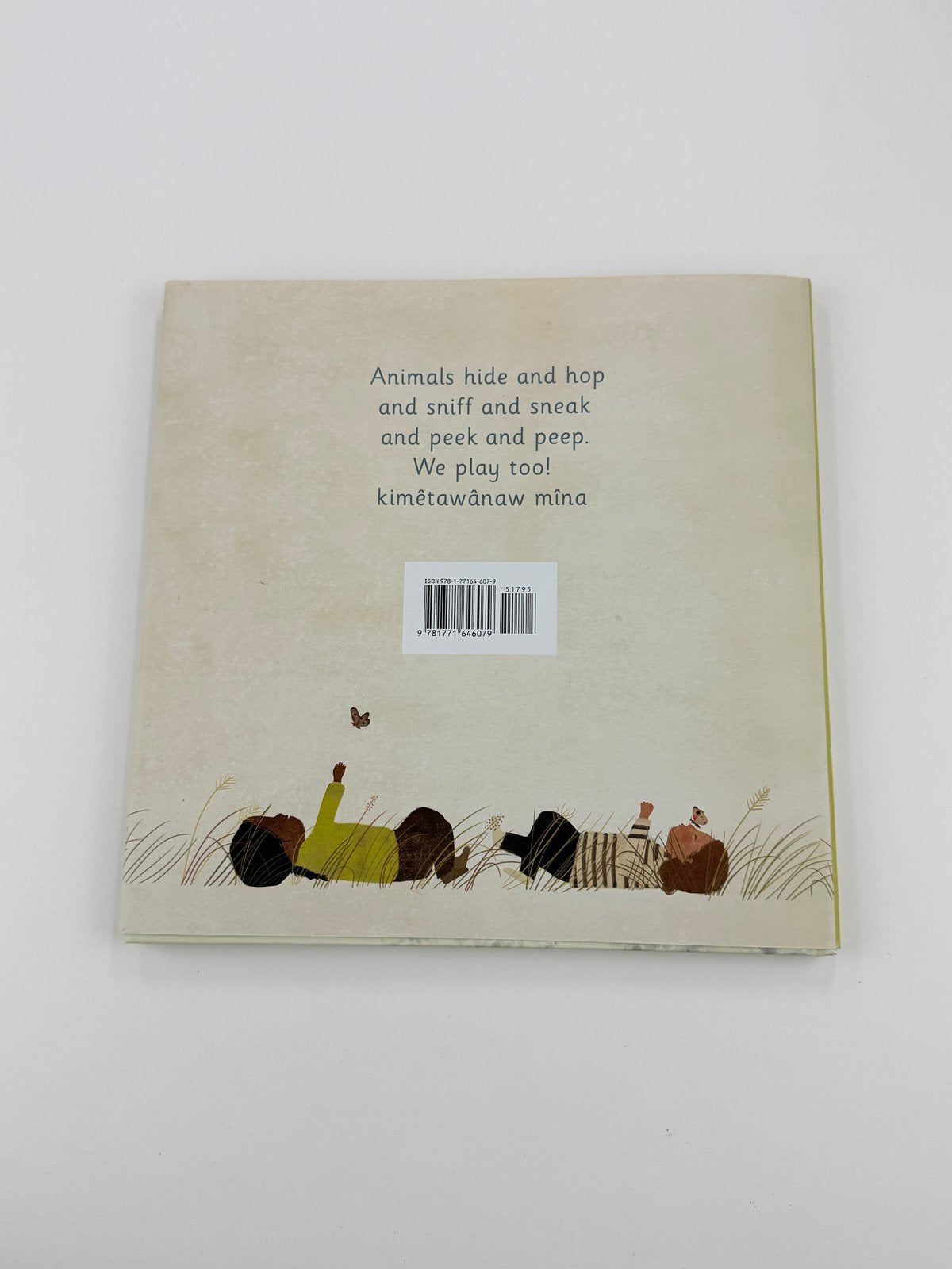Julie Flett We All Play