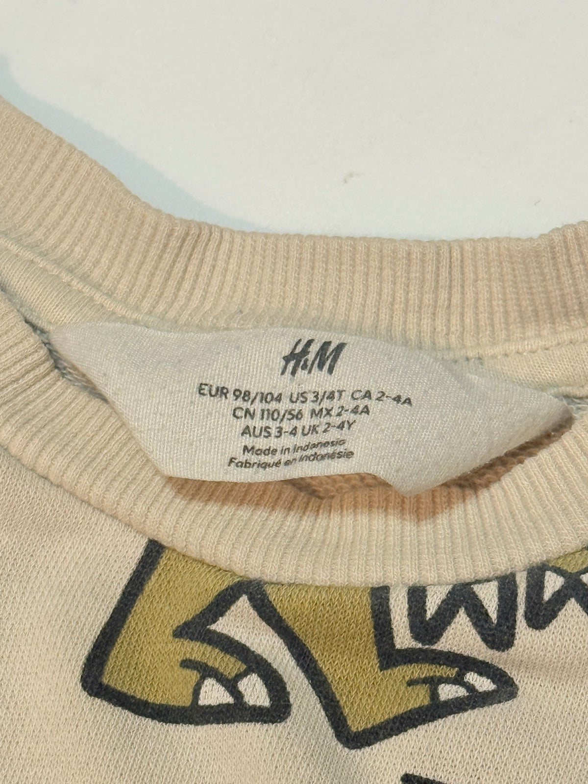 H&M Dinosaur Sweatshirt 2-4Y