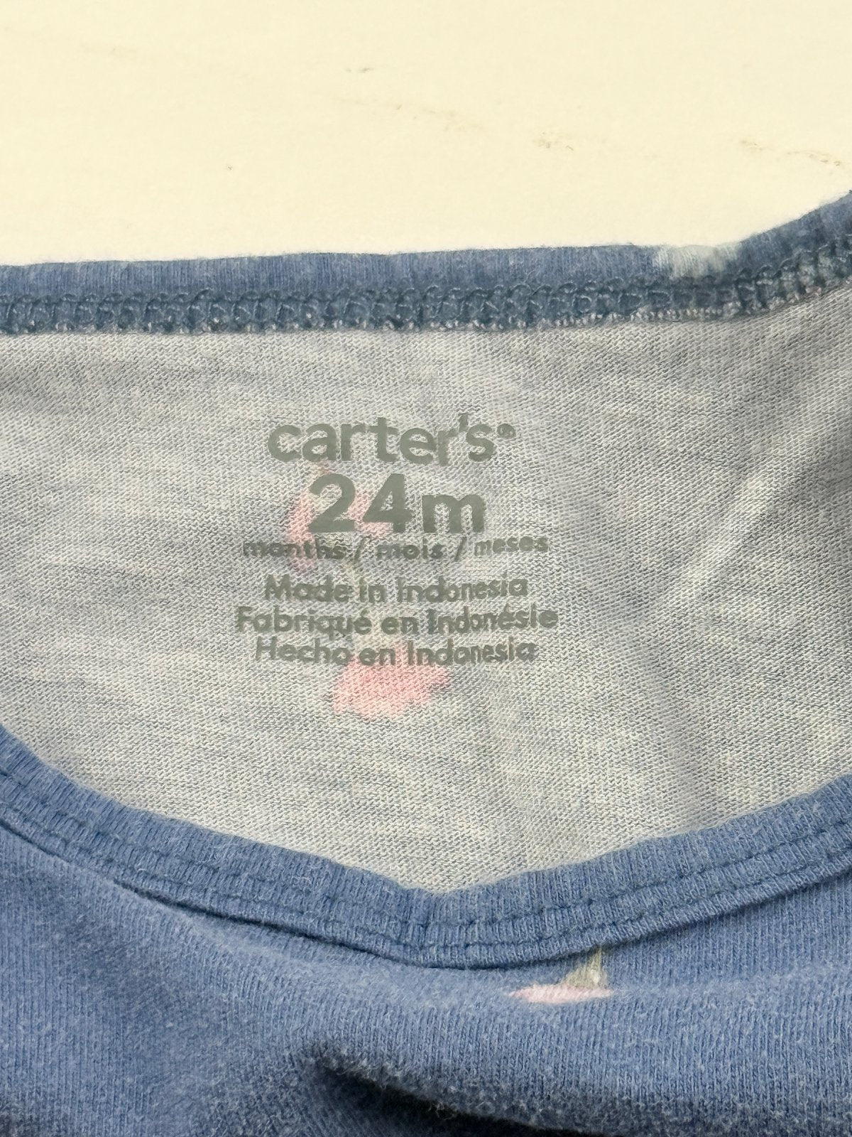 Carter's Mushroom Floral Blue Dress 24M