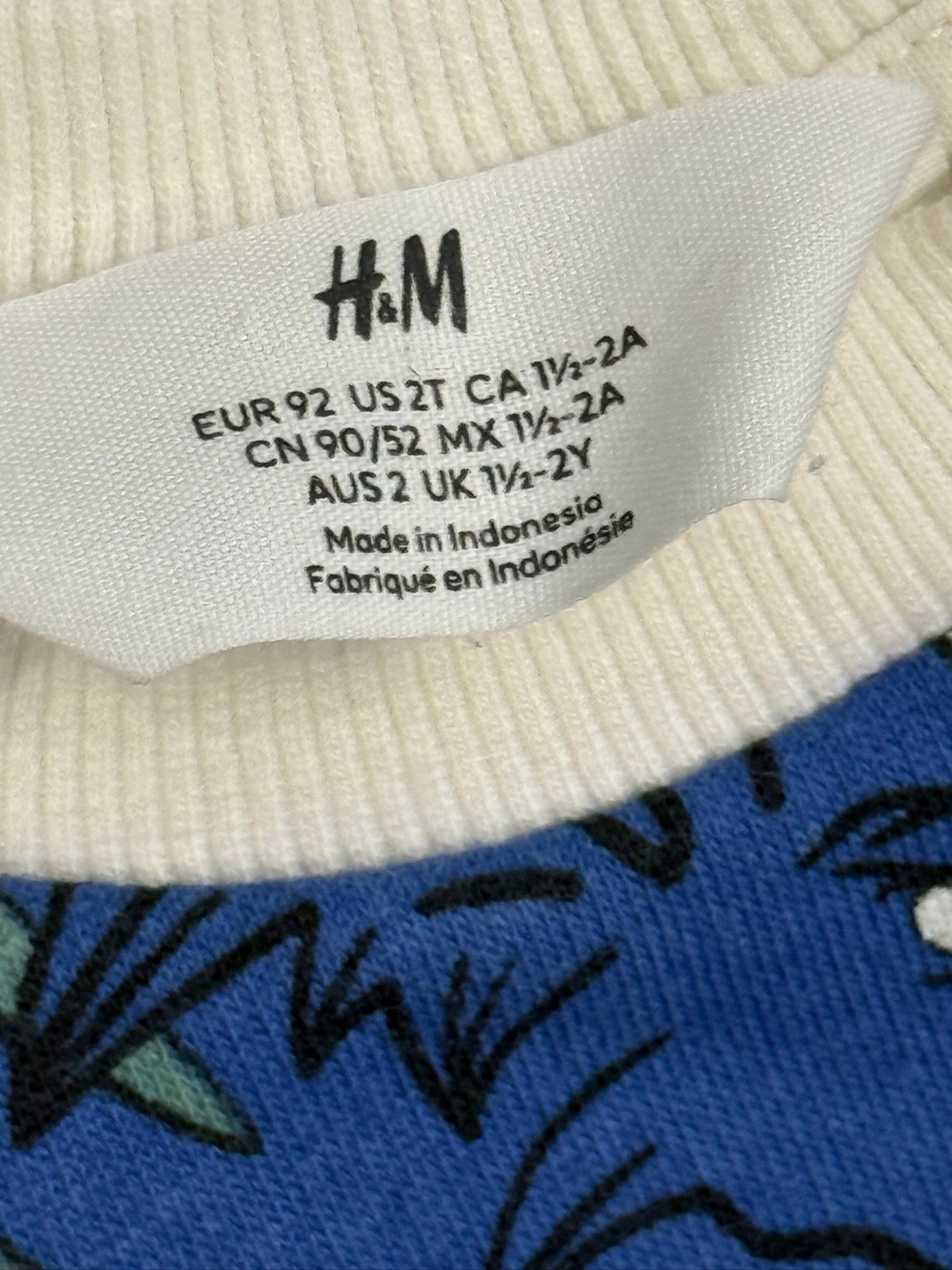 H&M Dino Sweater 1.5-2y