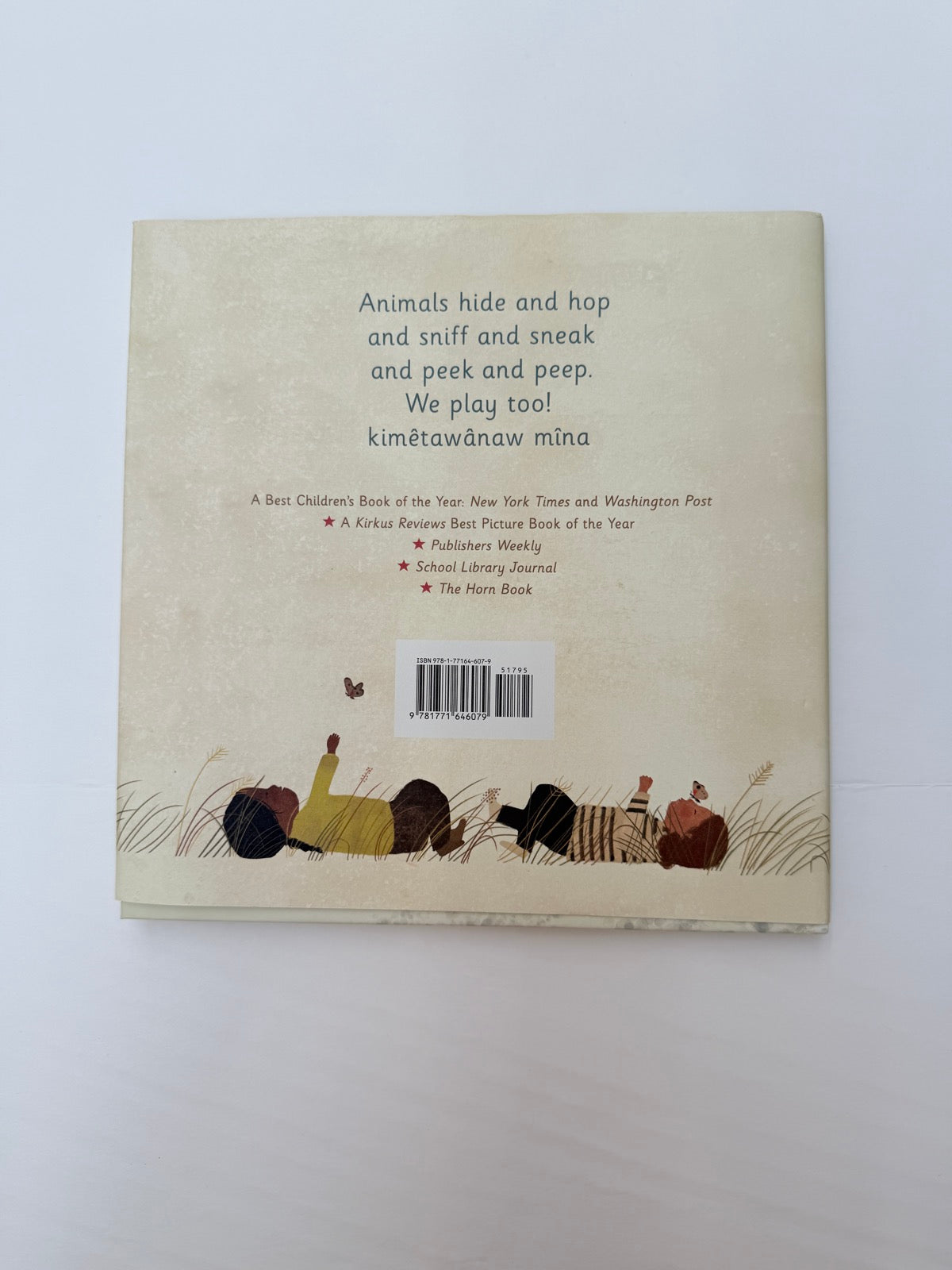 Julie Flett We All Play