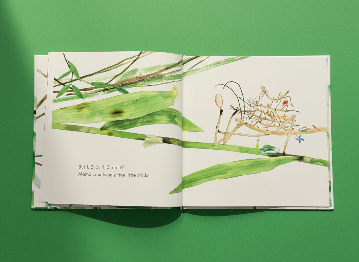 Six Little Sticks - Book