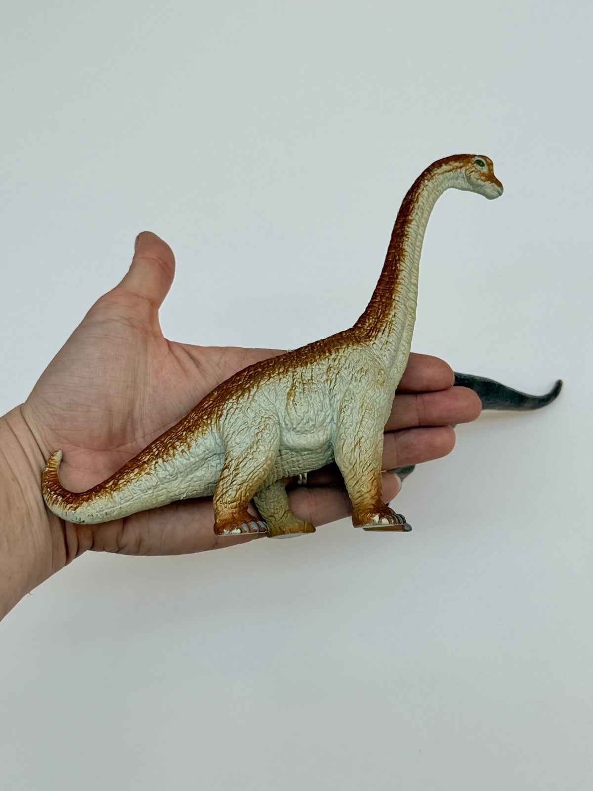 Dinosaur Figure Set Brachiosaurus T-Rex 2pc