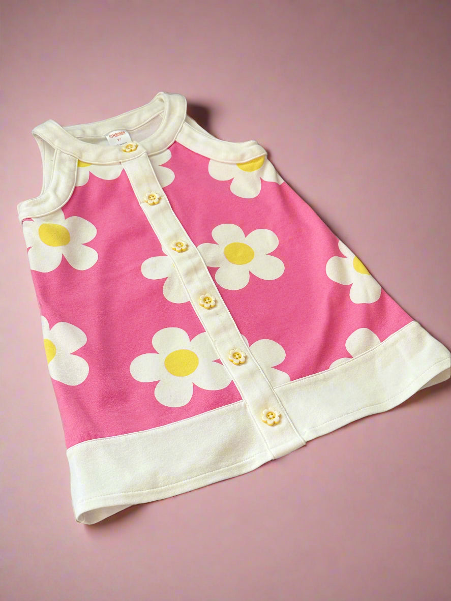 Gymboree 2t Dress