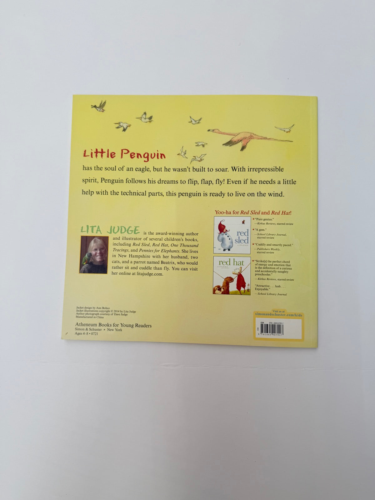 Lita Judge Flight School