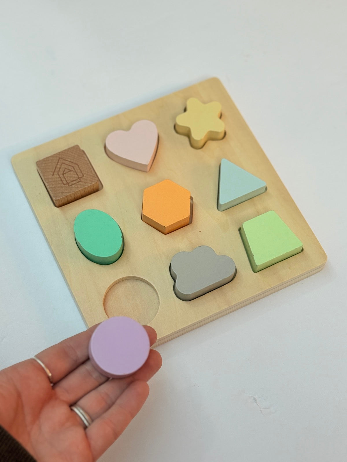 Wooden Shape Sorting Puzzle Toy