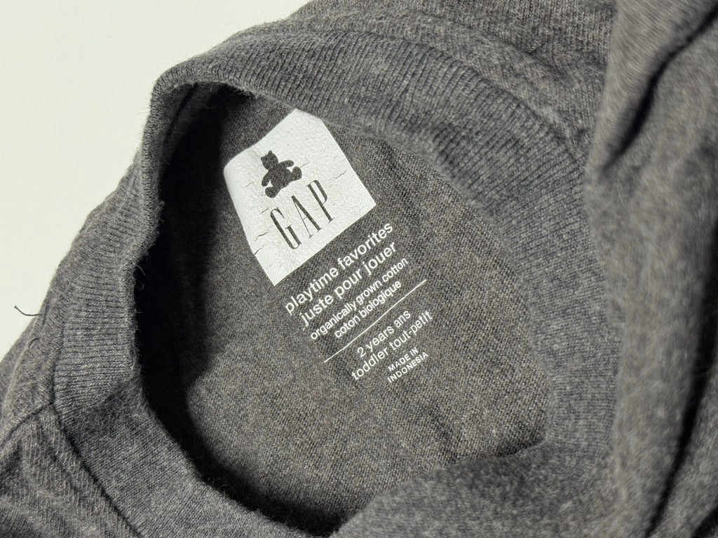 Gap Shirt 2T