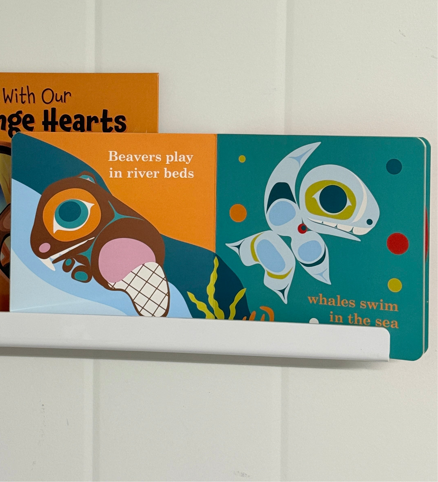 Northwest Coast Native Animals