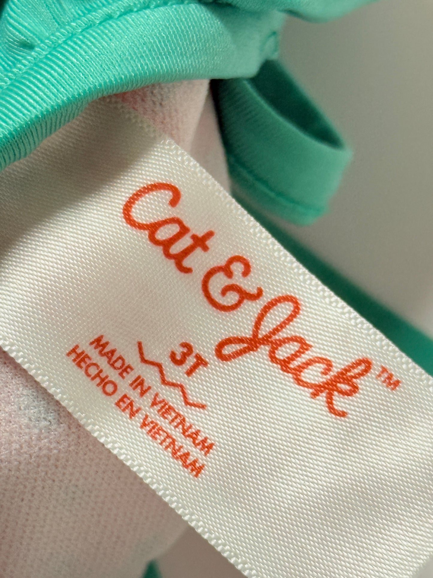 Watermelon Cat & Jack Swimsuit 3T