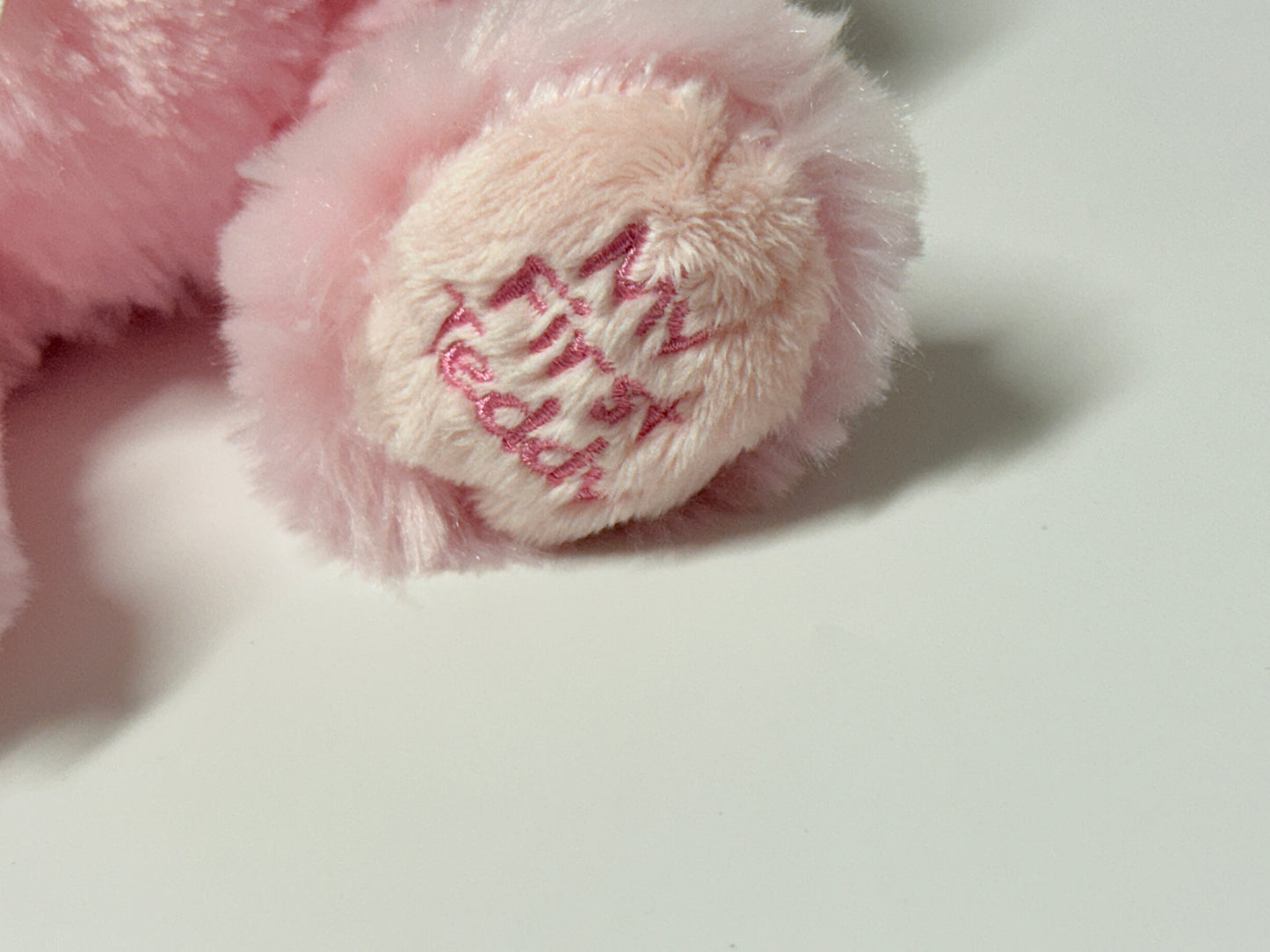 GANZ- My First Teddy NWT