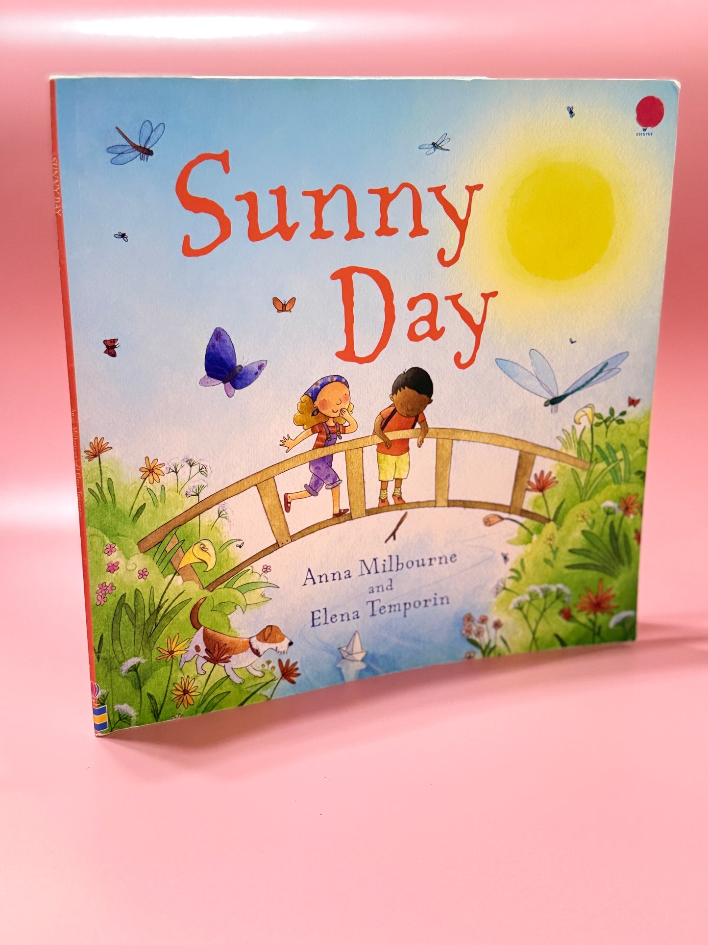 Sunny Day - Book