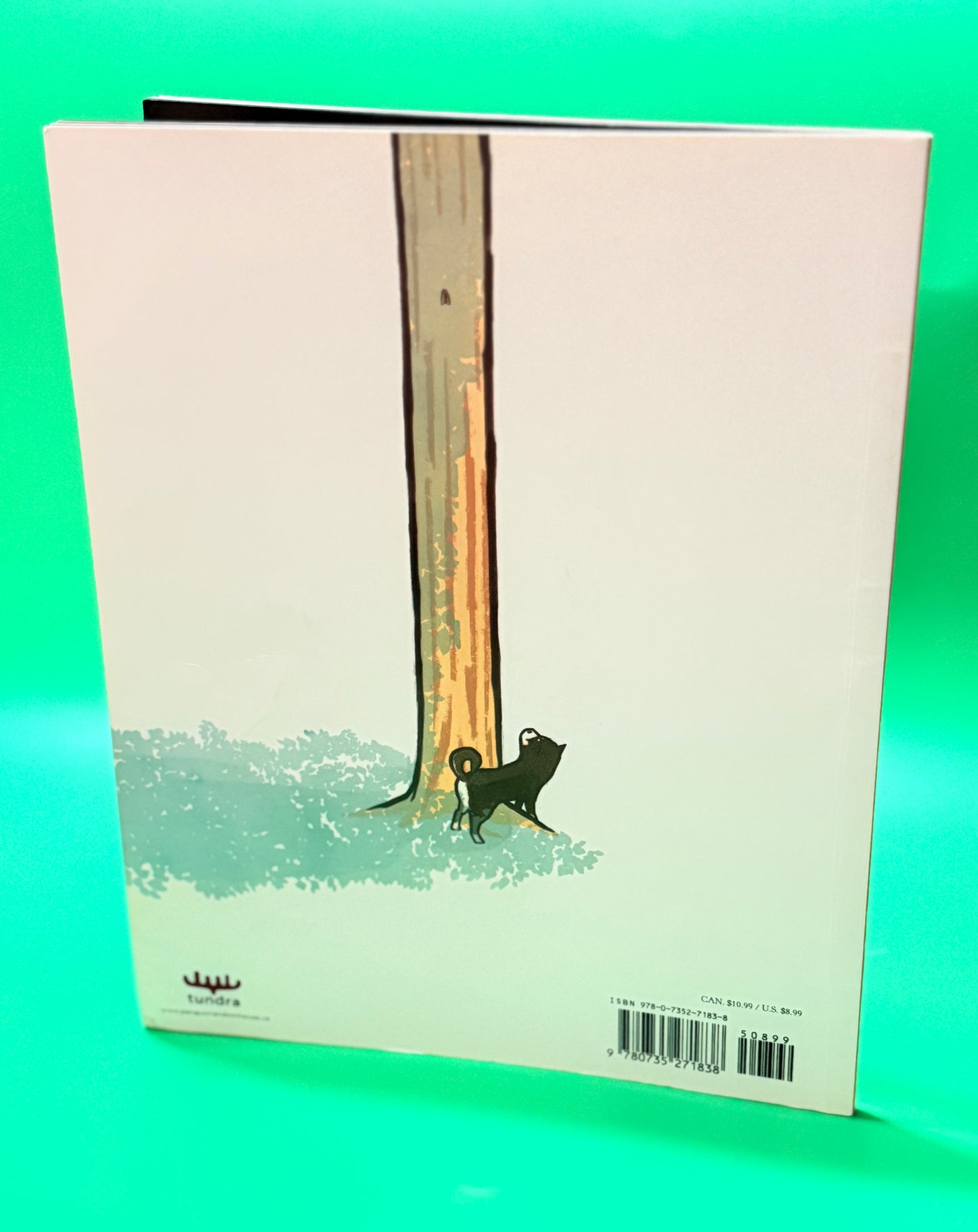 Natsumi's Song of Summer - Book
