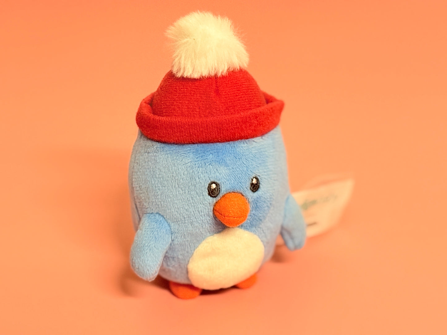 Little Blue Penguin Indigo