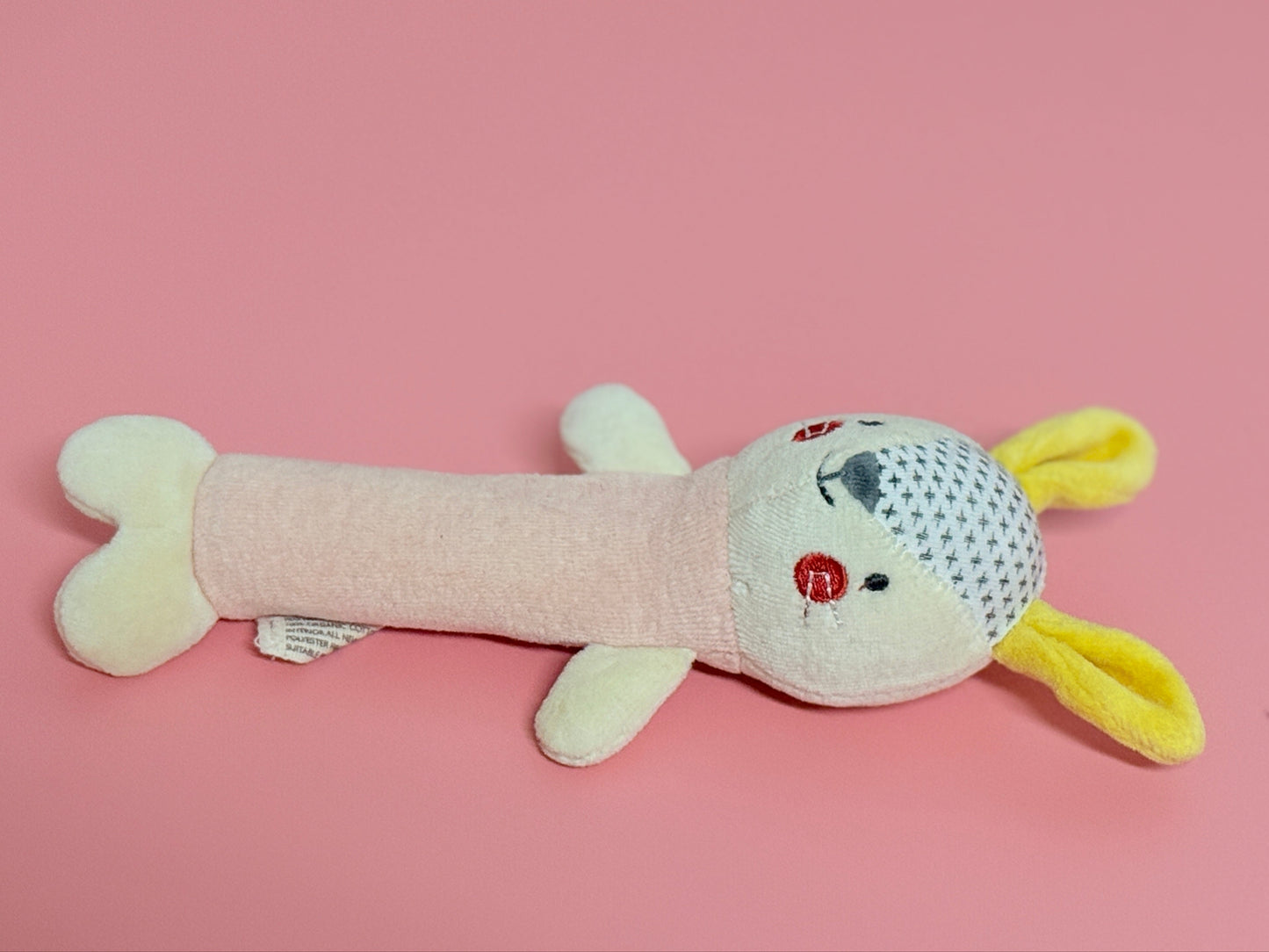 Baby Squeaky Toy