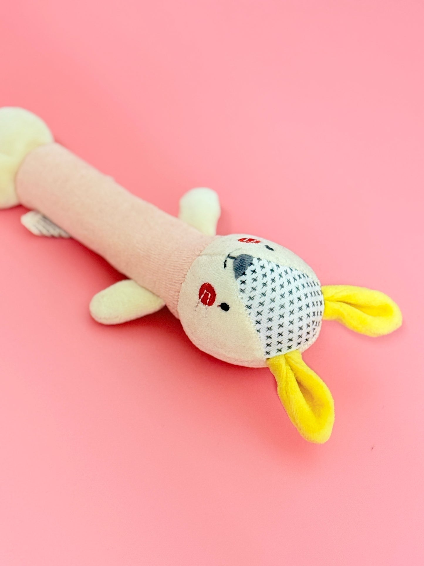 Baby Squeaky Toy
