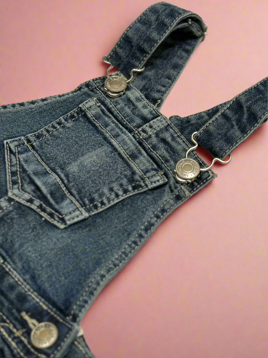Silver Jeans co Nisha overalls sz 4 NWT