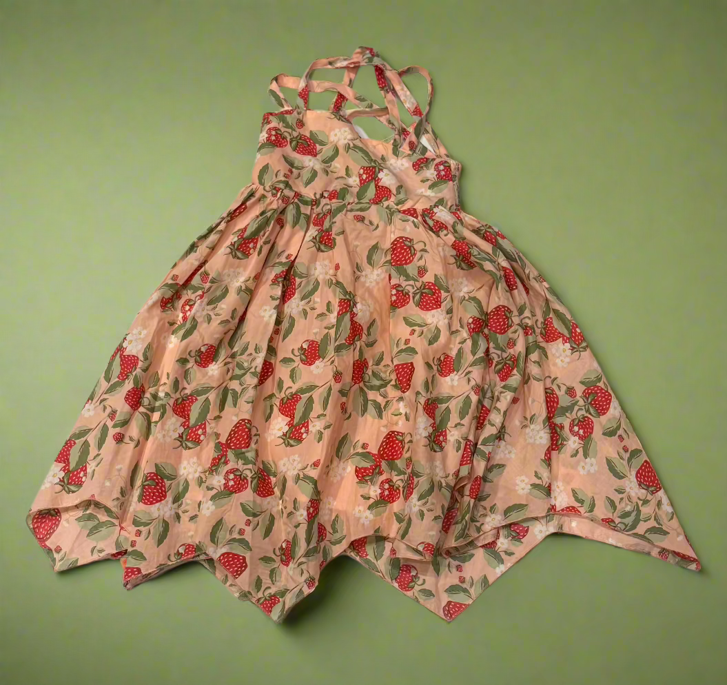 Strawberry Dress 4y Cynthia Rowley