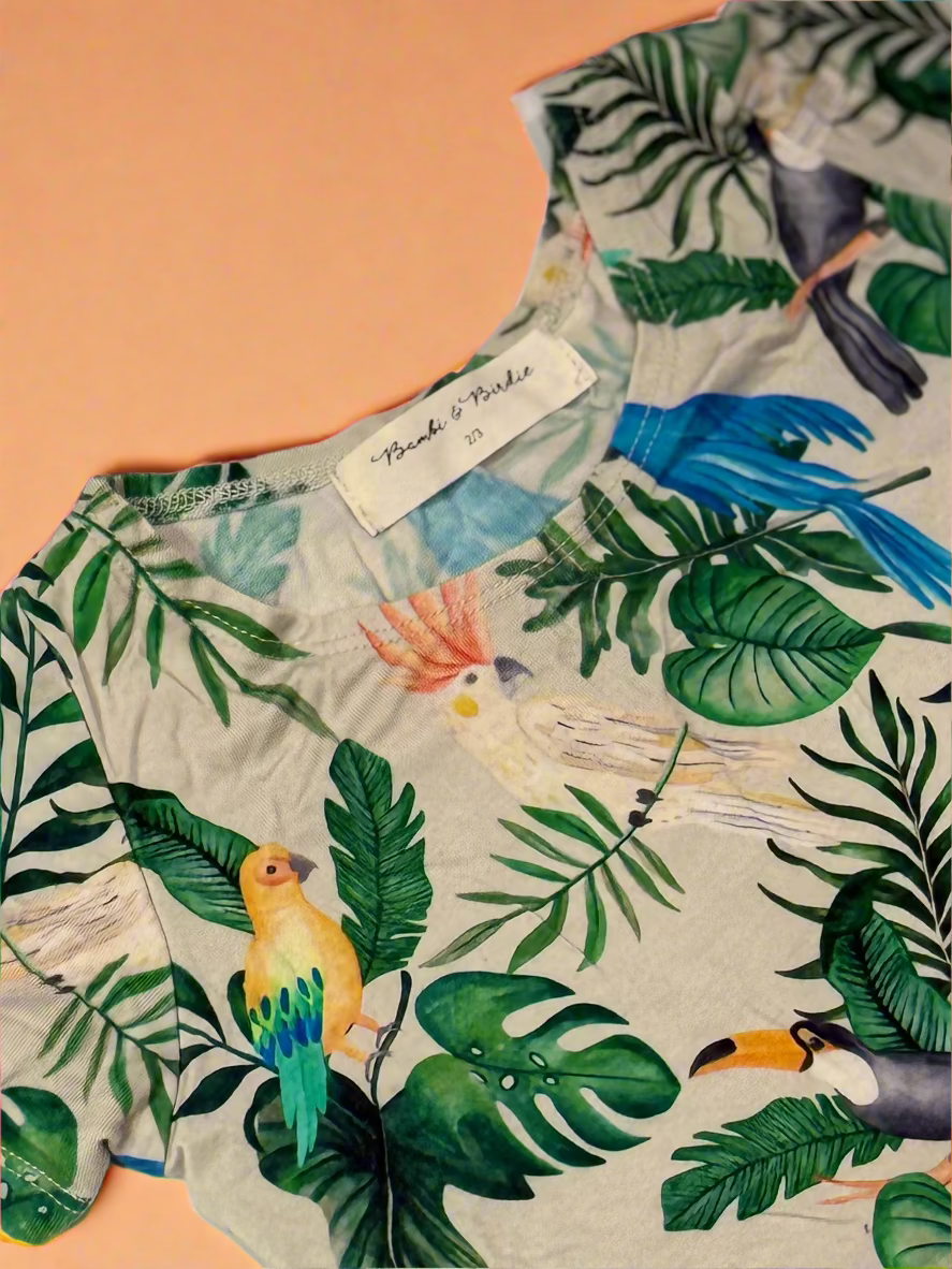 Bambi & Birdie Dress 2/3y