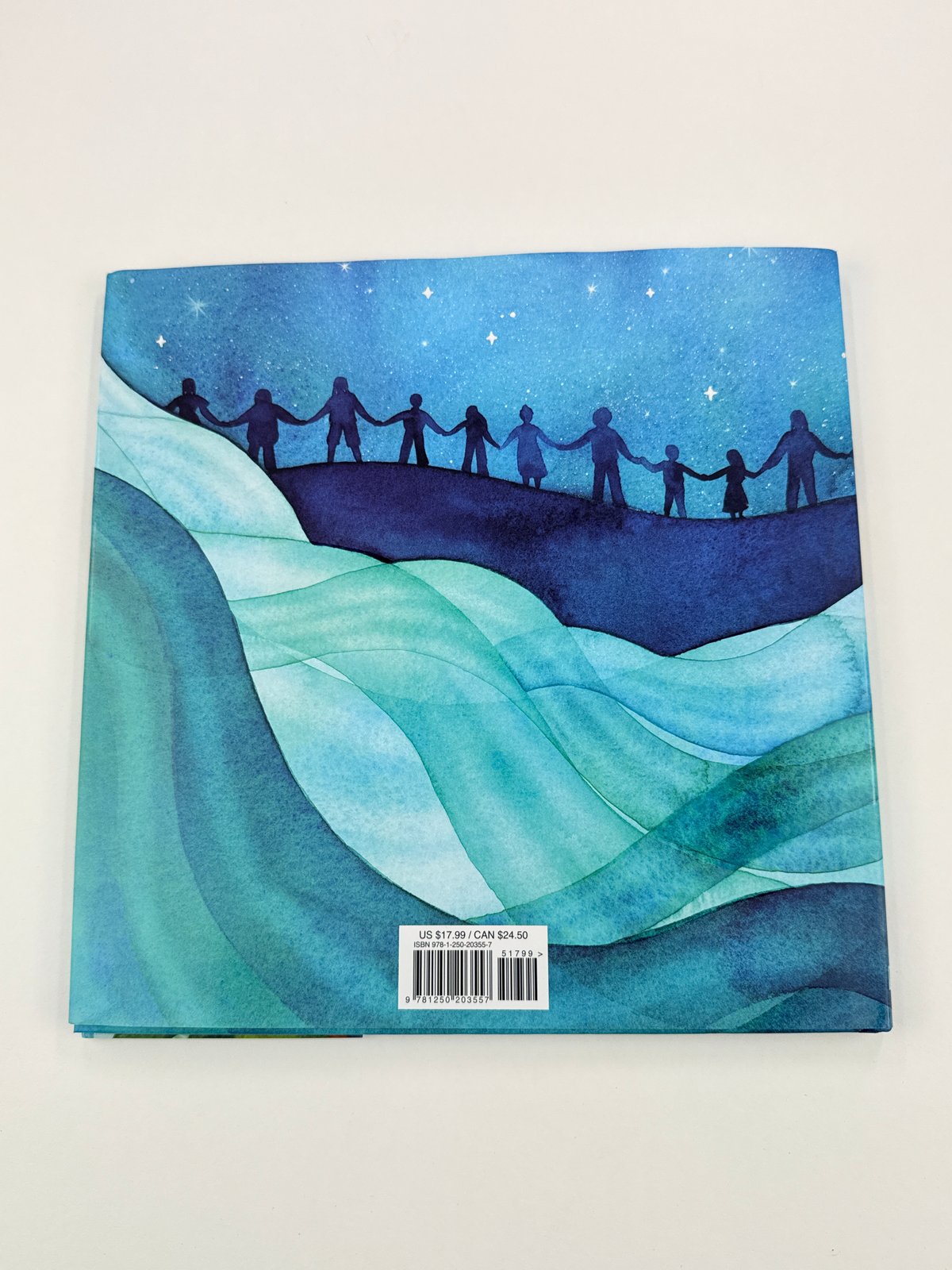 Carole Lindstrom We Are Water Protectors