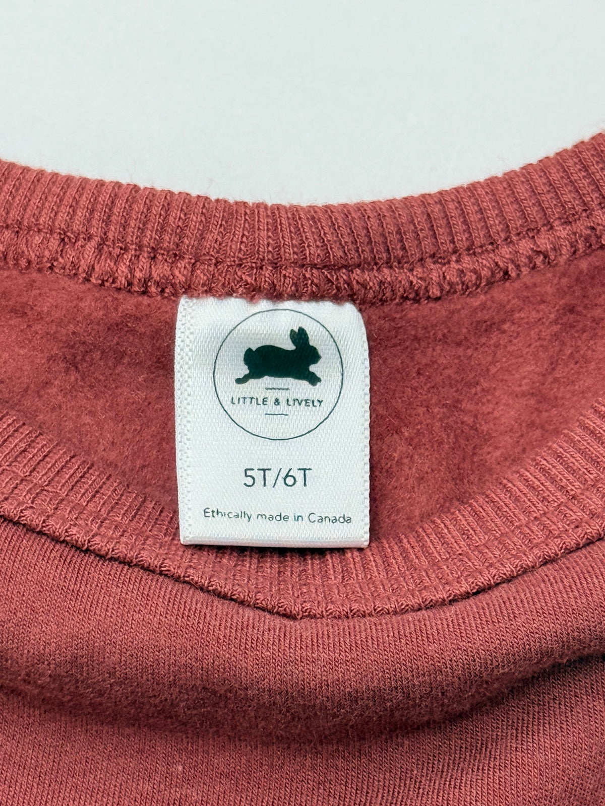 Little & Lively Sleigh'N It Sweatshirt 5T/6T