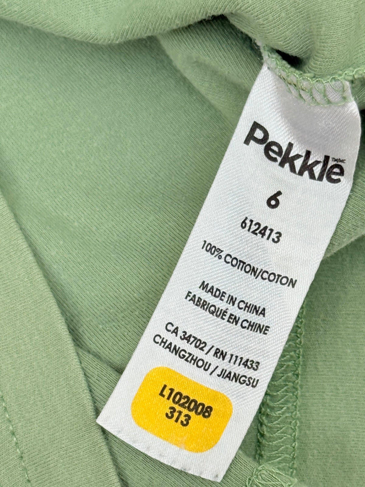 Pekkle Dinosaur Green Ringer T-Shirt Size 6