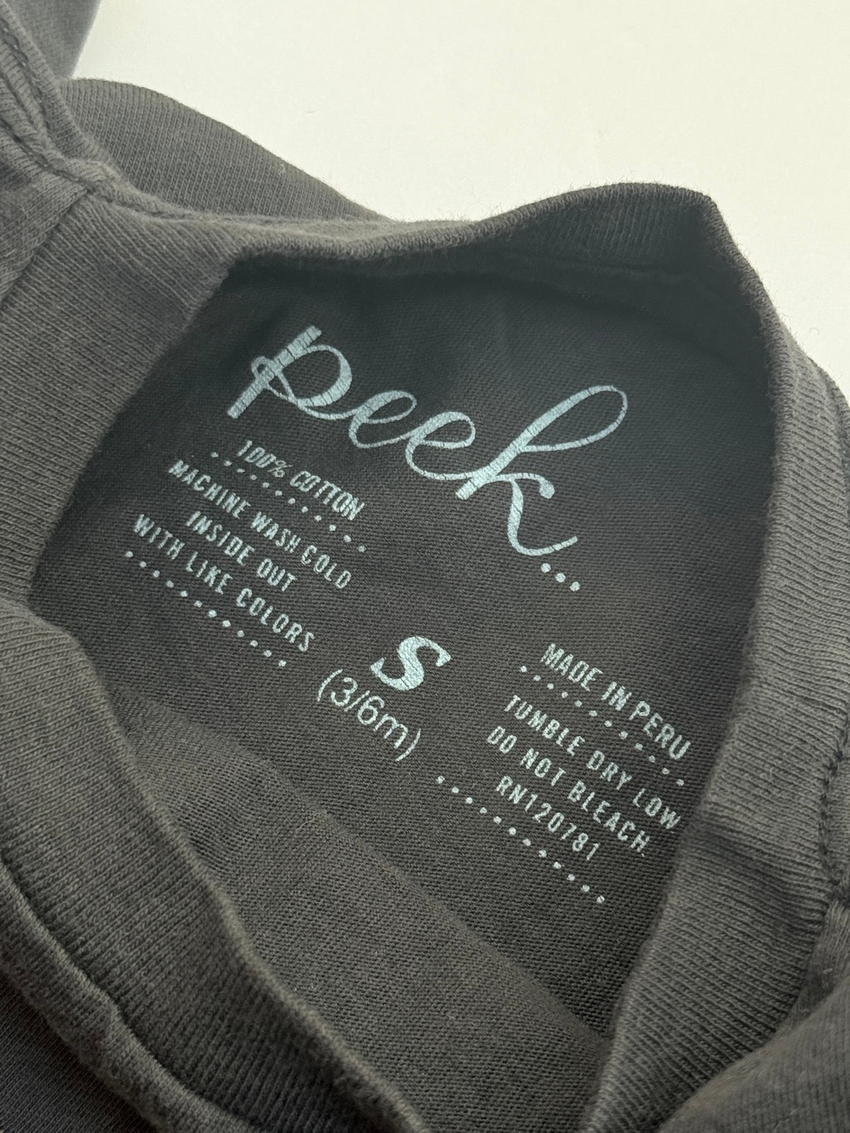 Peek Ursus Bear Species Graphic Tee 3-6m