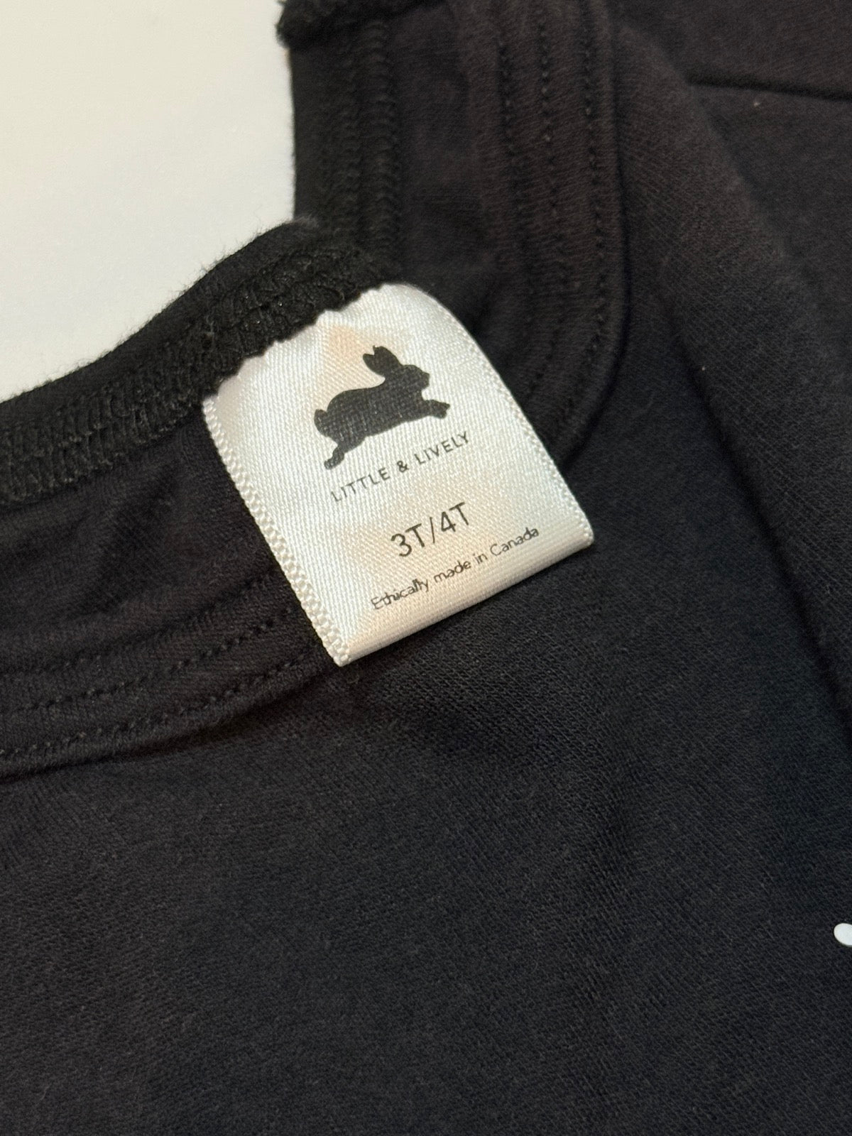 Little & Lively Mountain Night Sweatshirt 3/4T