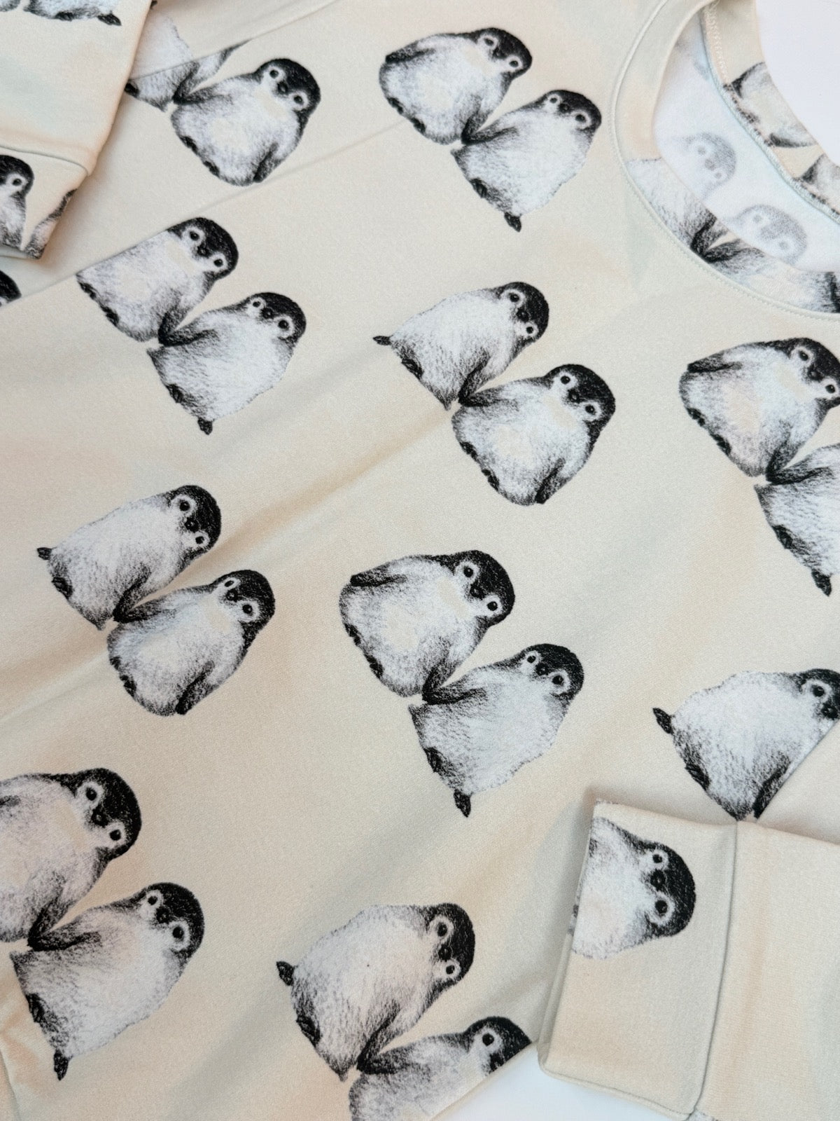 Baby Penguin Print Sweatshirt 6/7