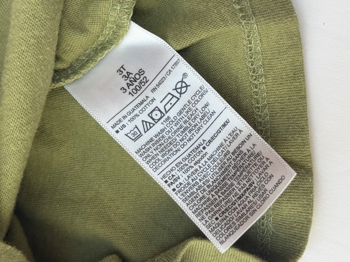 Old Navy Dinosaur Graphic T-Shirt 3T