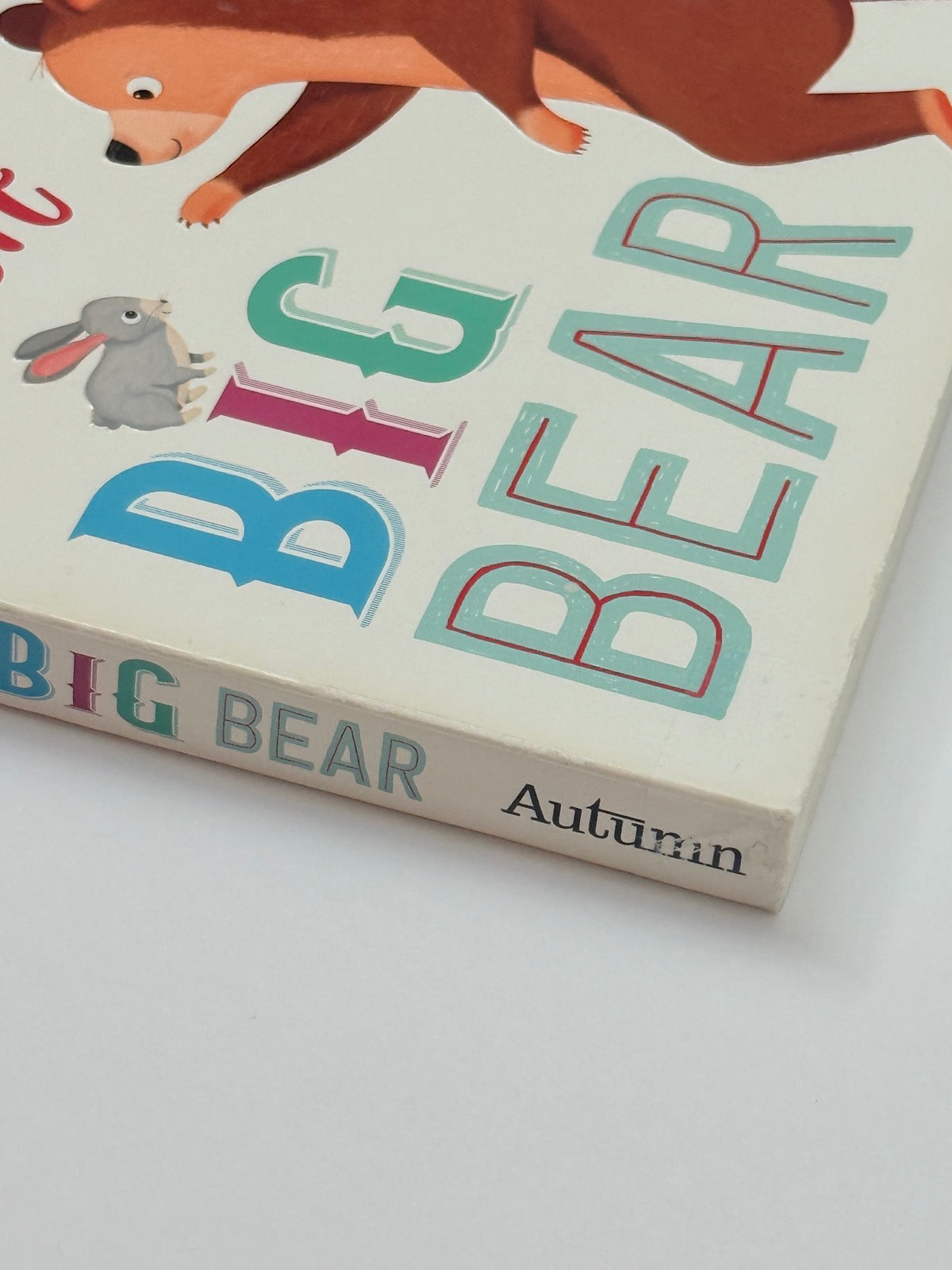 Little Rabbit Big Bear Lift-the-Flap Book