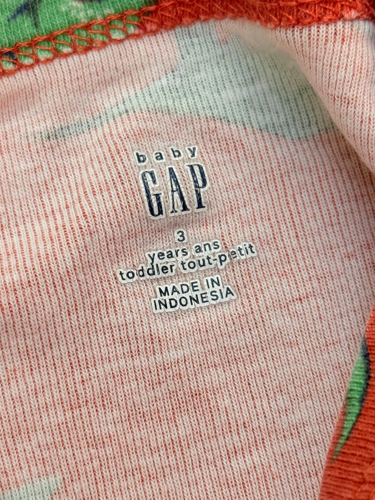 Baby Gap Dinosaur Pajama Set 3T