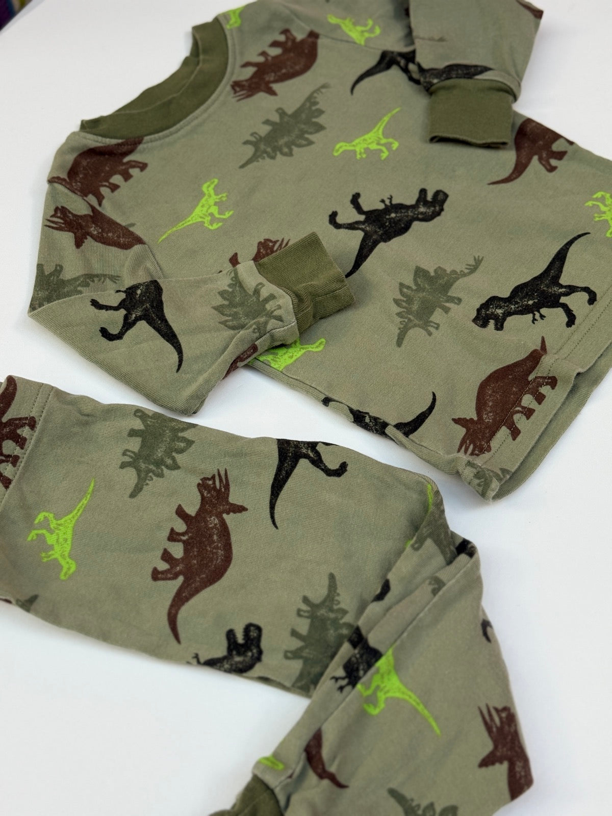 Kirkland Signature Dinosaur Pajama Set 2T