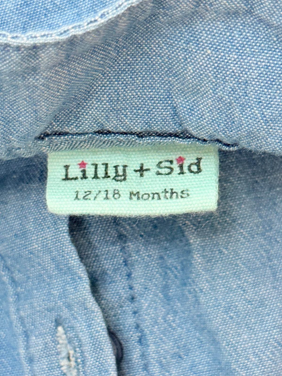 Lilly + Sid Chambray Floral Dress 12/18M