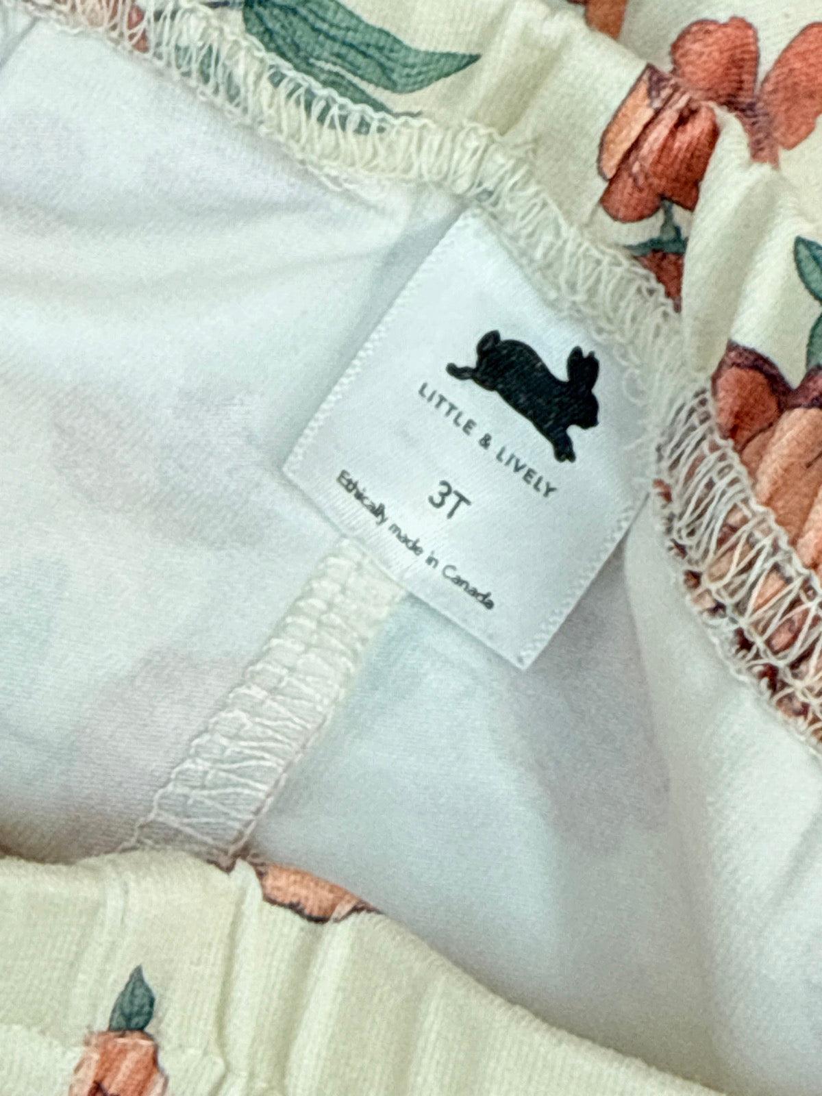 Little & Lively Floral Leggings 3T