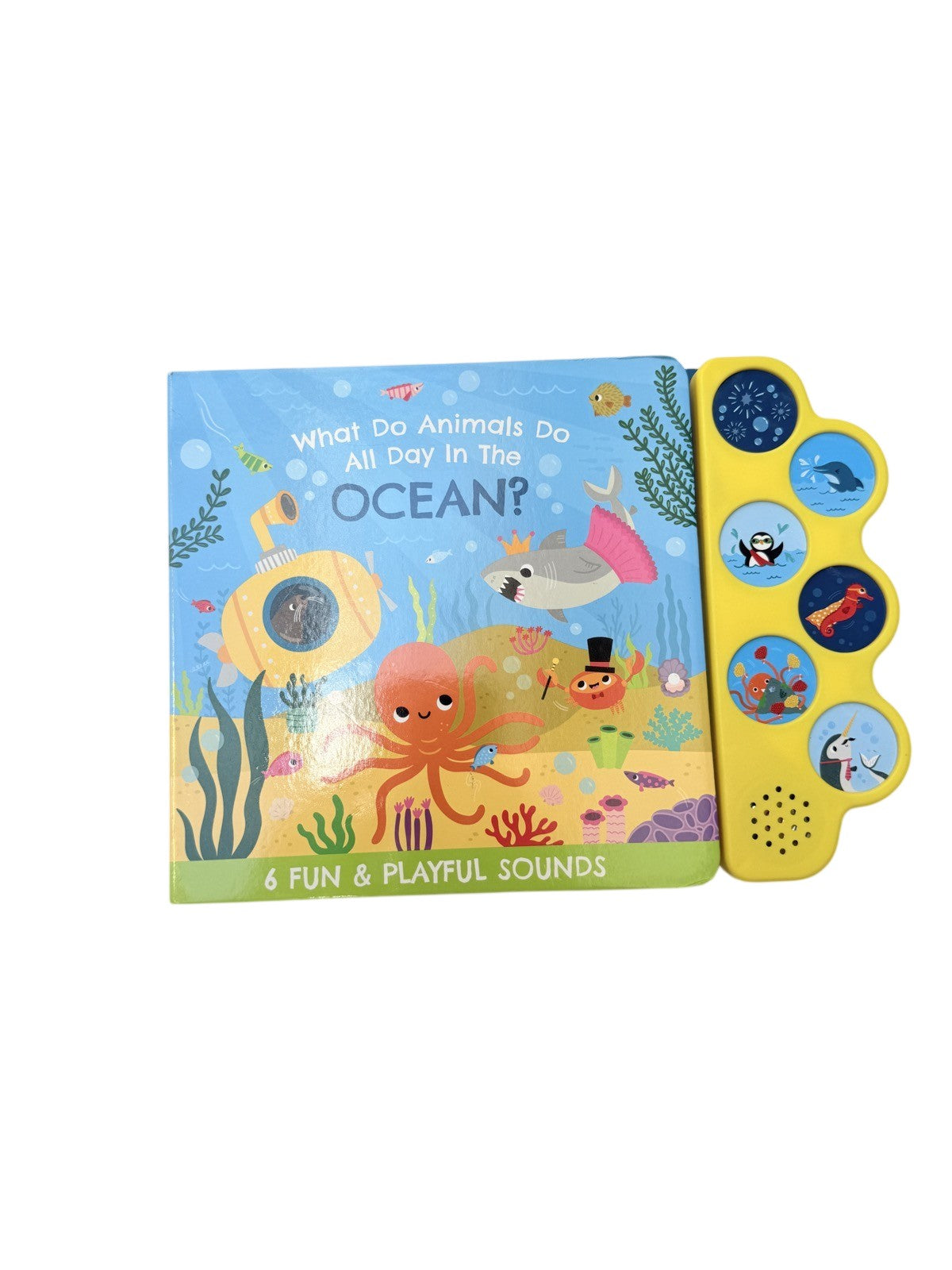 What Do Animals Do All Day In The Ocean?