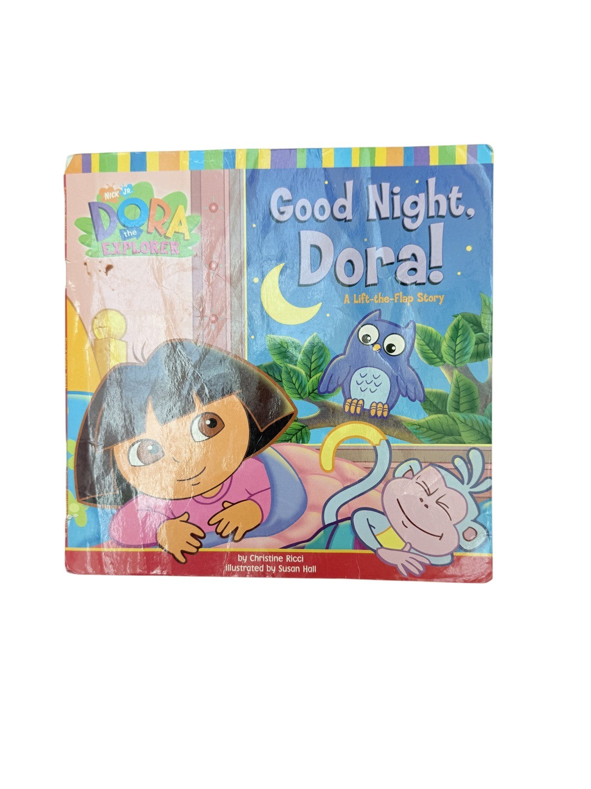 Christine Ricci Good Night, Dora! Lift-the-Flap
