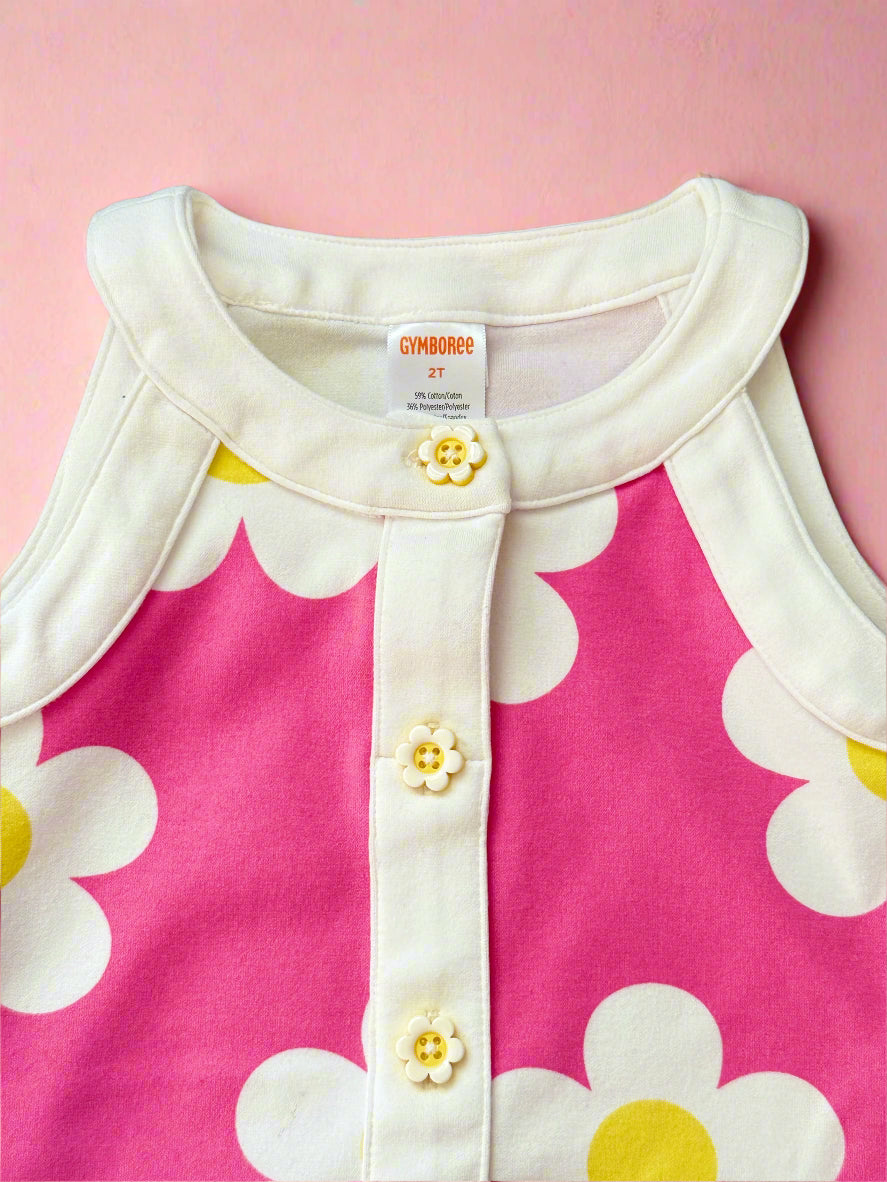 Gymboree 2t Dress
