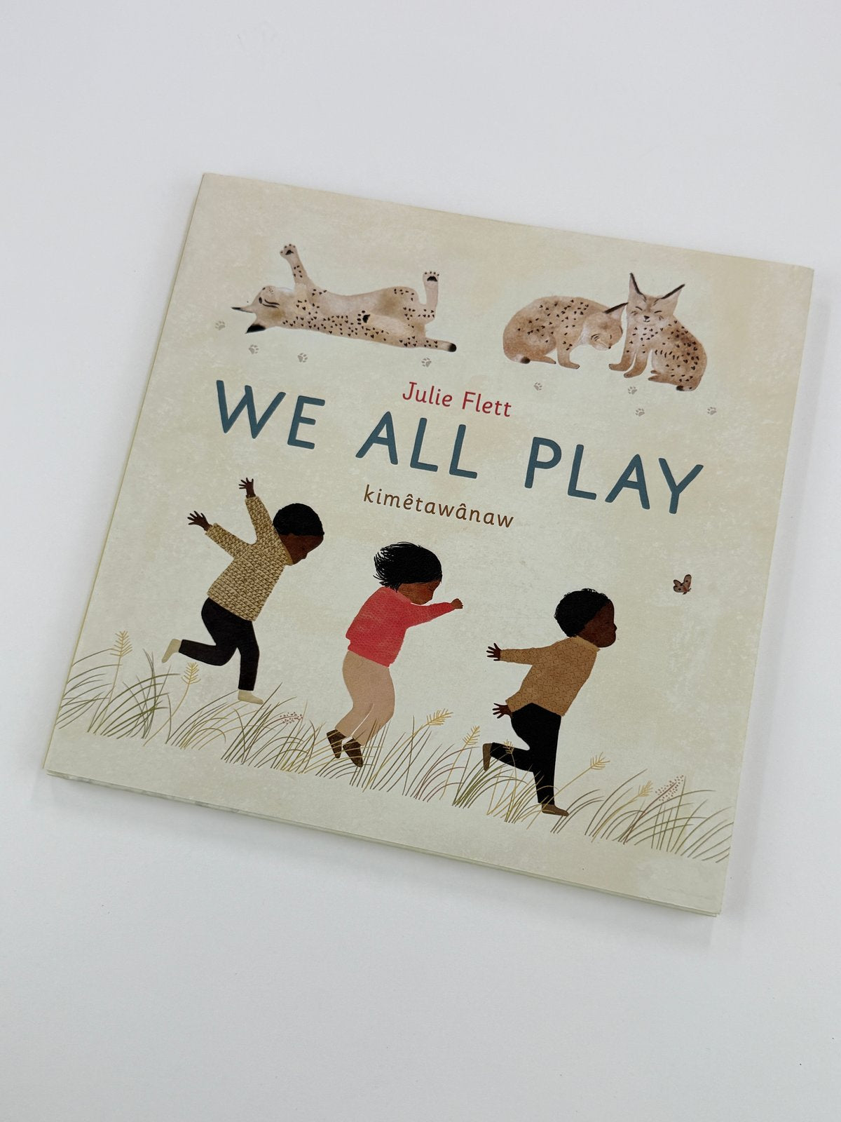Julie Flett We All Play