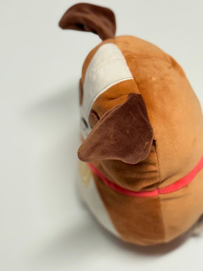 Squishmallows Sassafras le Saint-Bernard