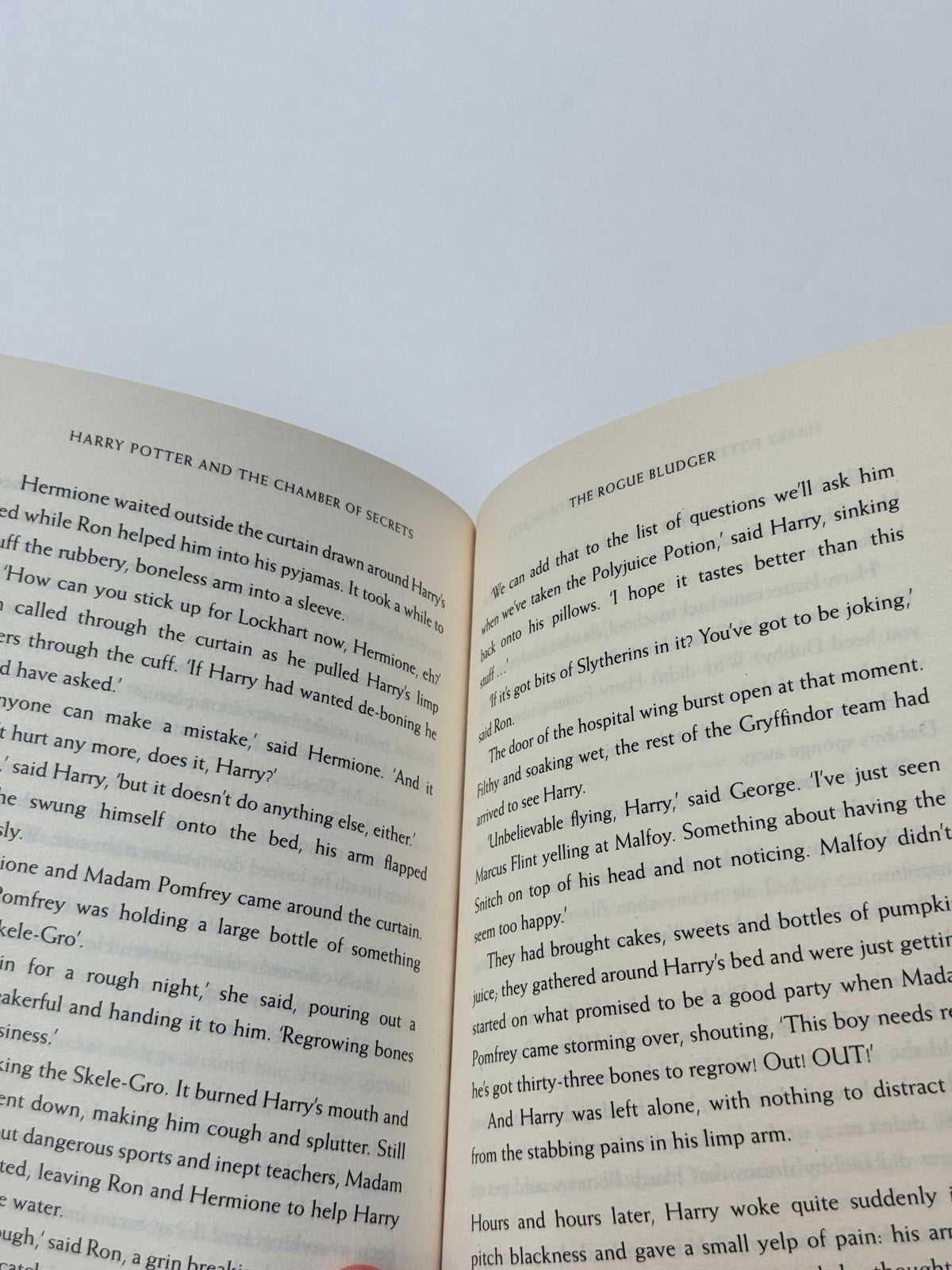 J.K. Rowling Harry Potter Chamber of Secrets