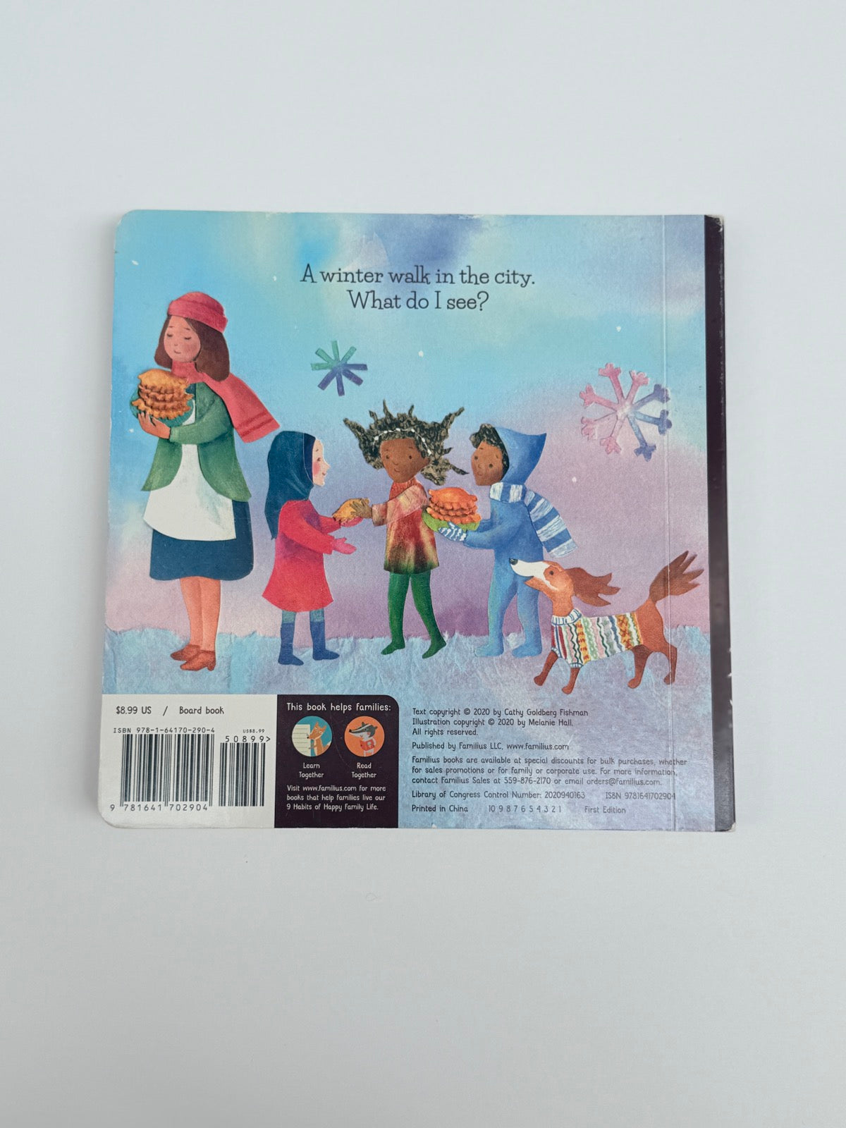Cathy Goldberg Fishman A Winter Walk in the City