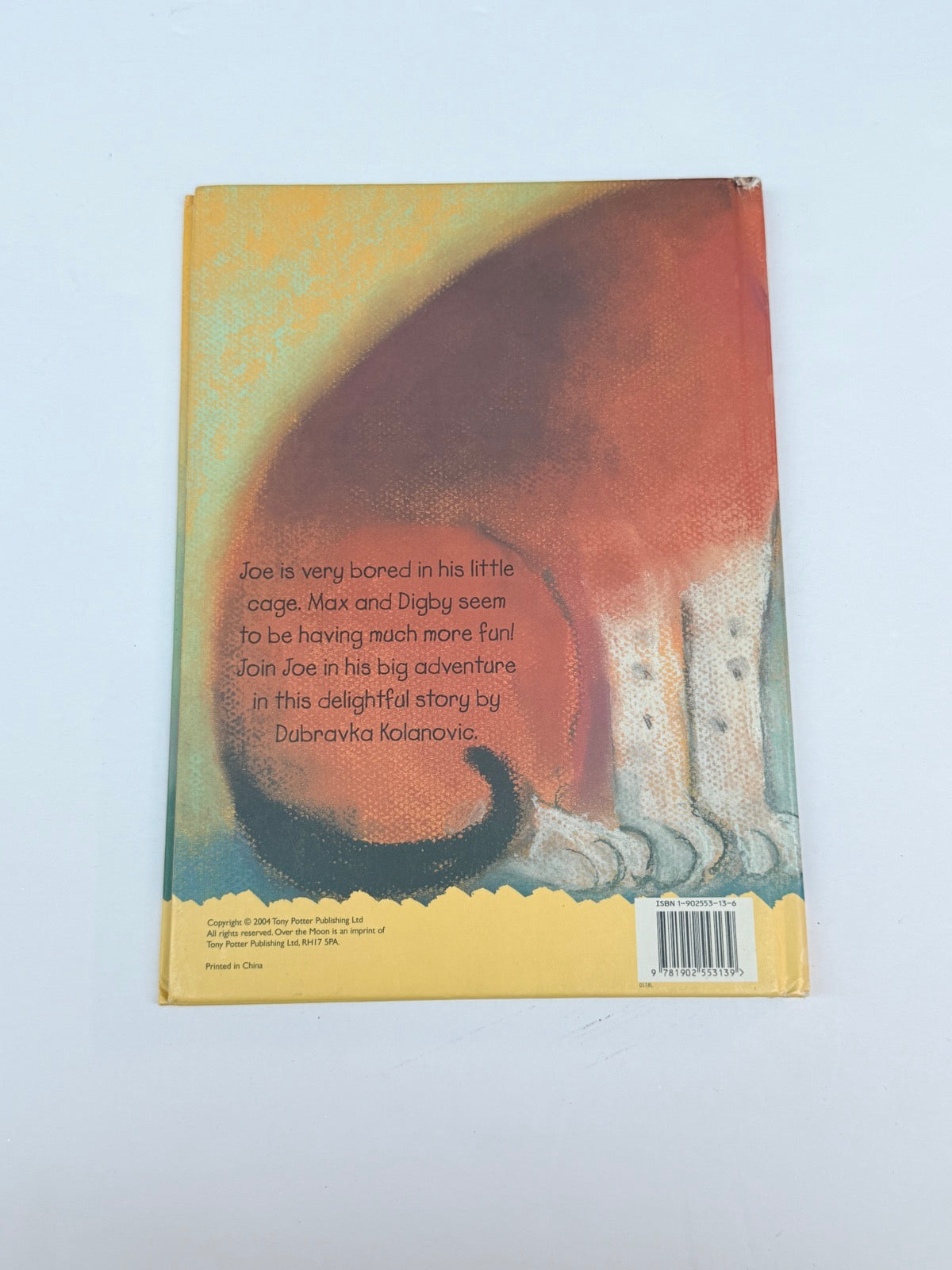 Dubravka Kolanovic Joe's Big Adventure