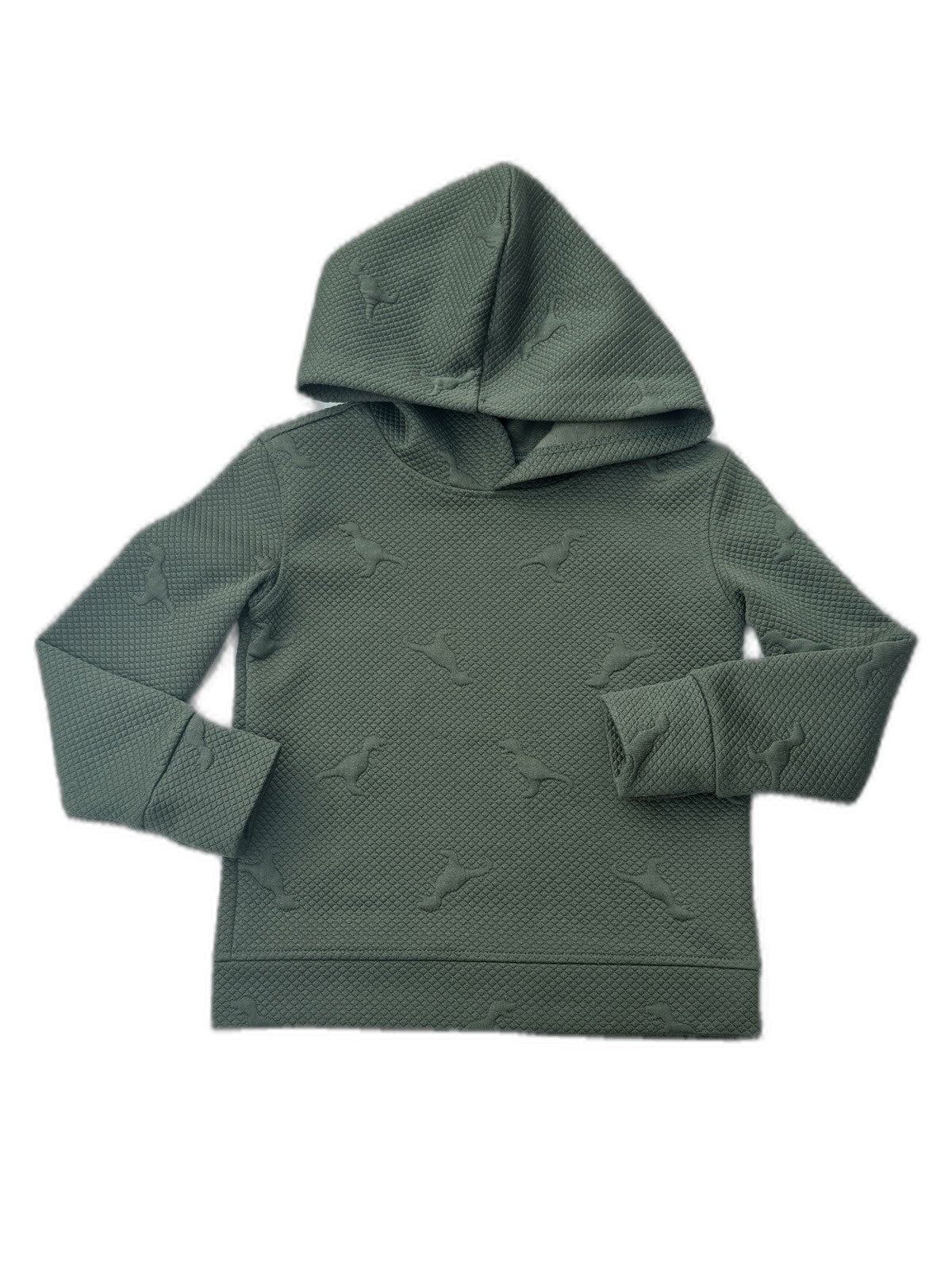 Andy & Evan Dinosaur Embossed Green Hoodie Size 3