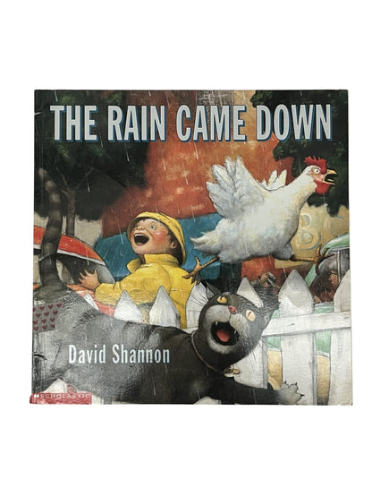 David Shannon The Rain Came Down