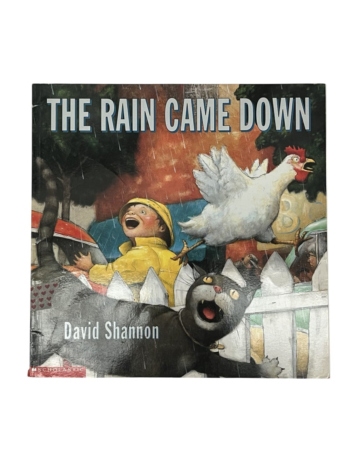 David Shannon The Rain Came Down