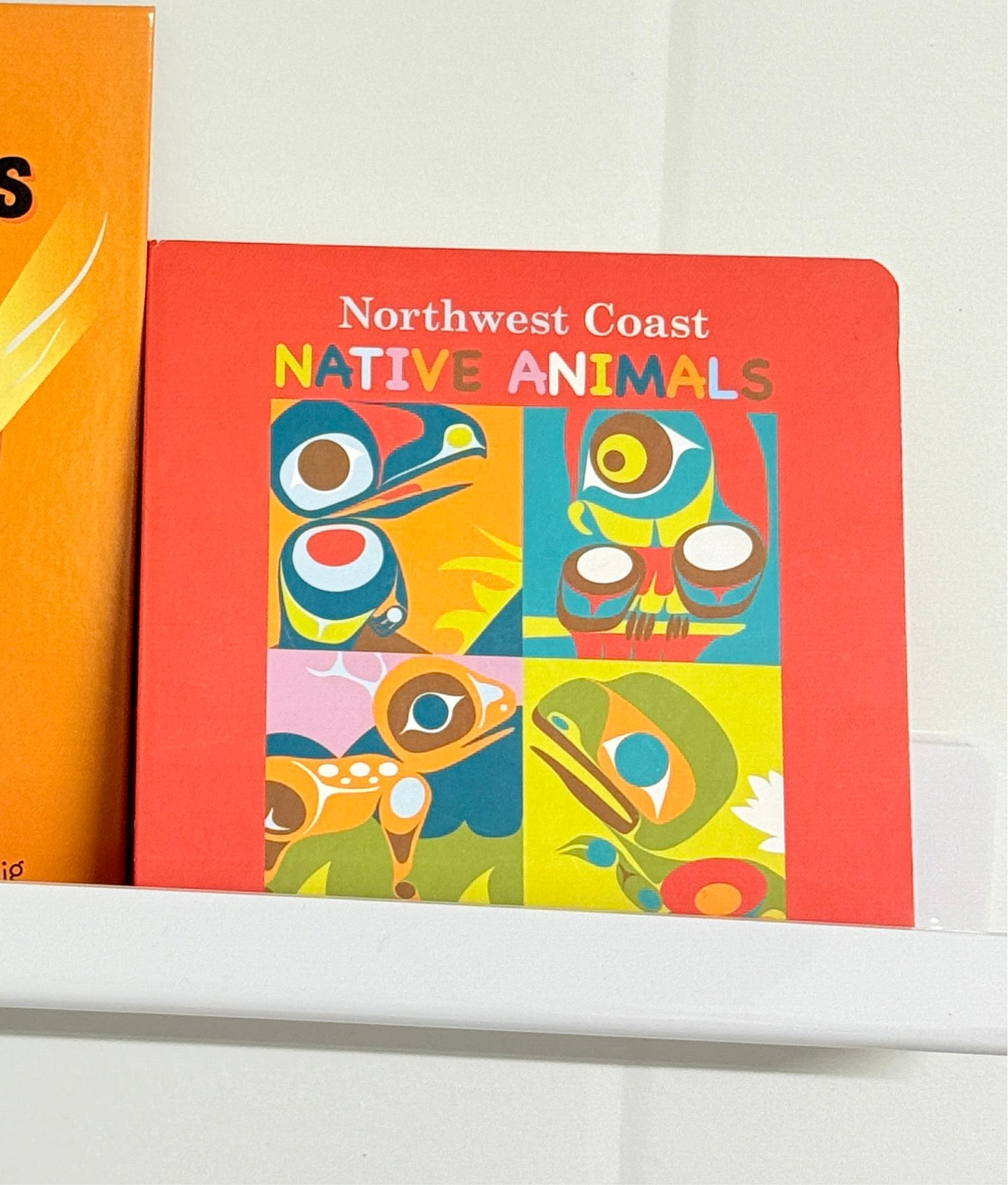 Northwest Coast Native Animals