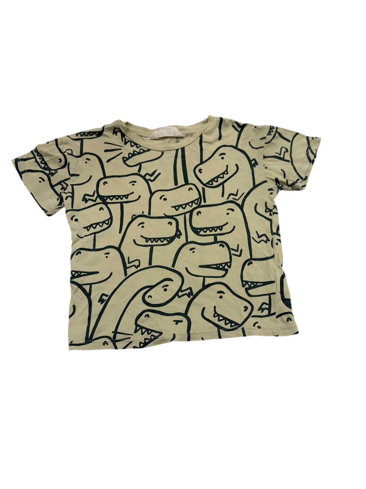H&M Dinosaur Print T-Shirt 2-4