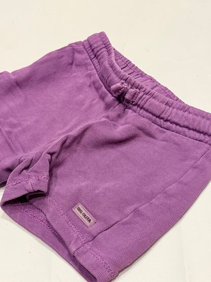 Zara Big Olita Purple Shorts 9-12M