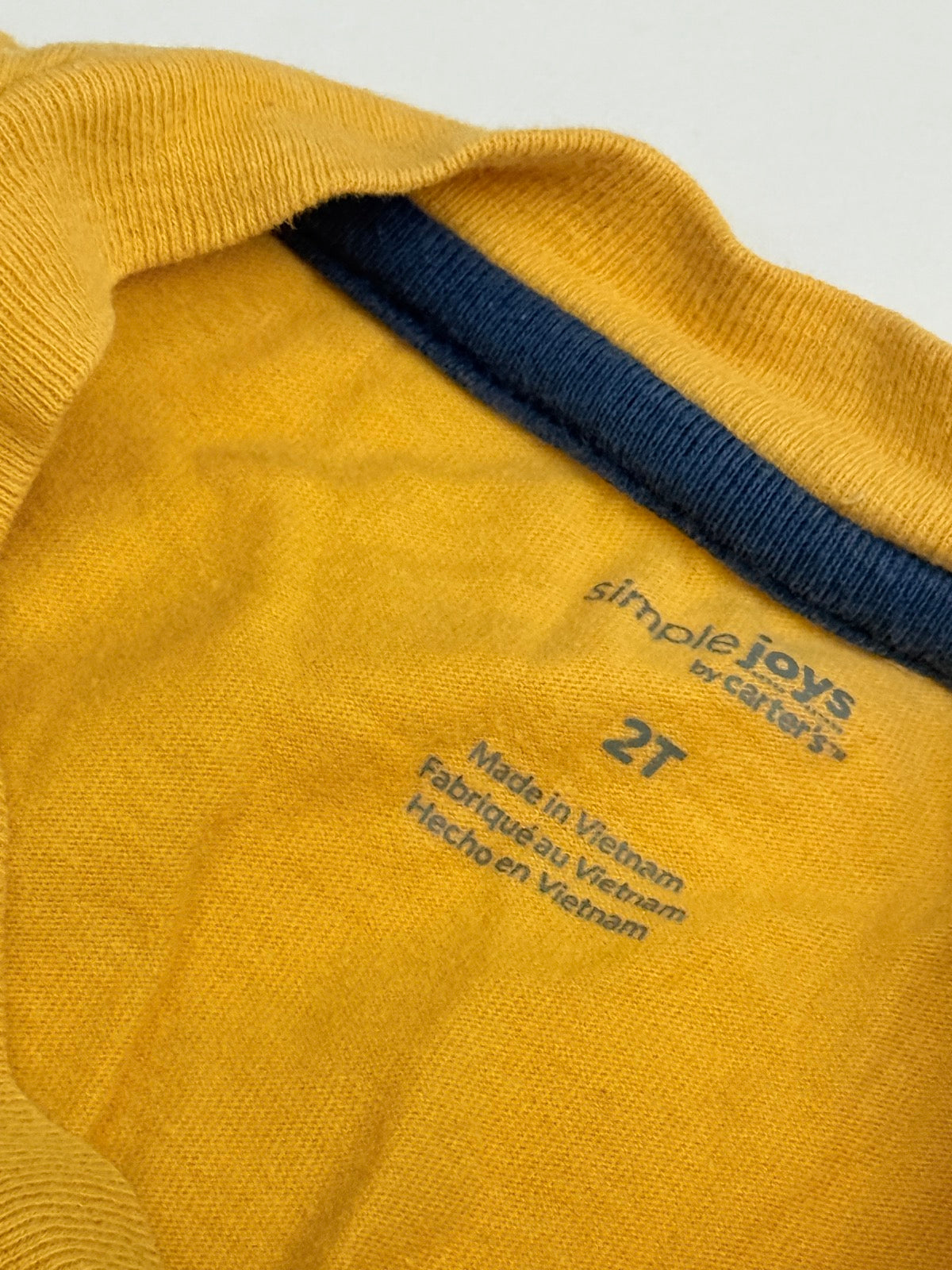 Simple Joys by Carter's Lion Roar Tee 2T