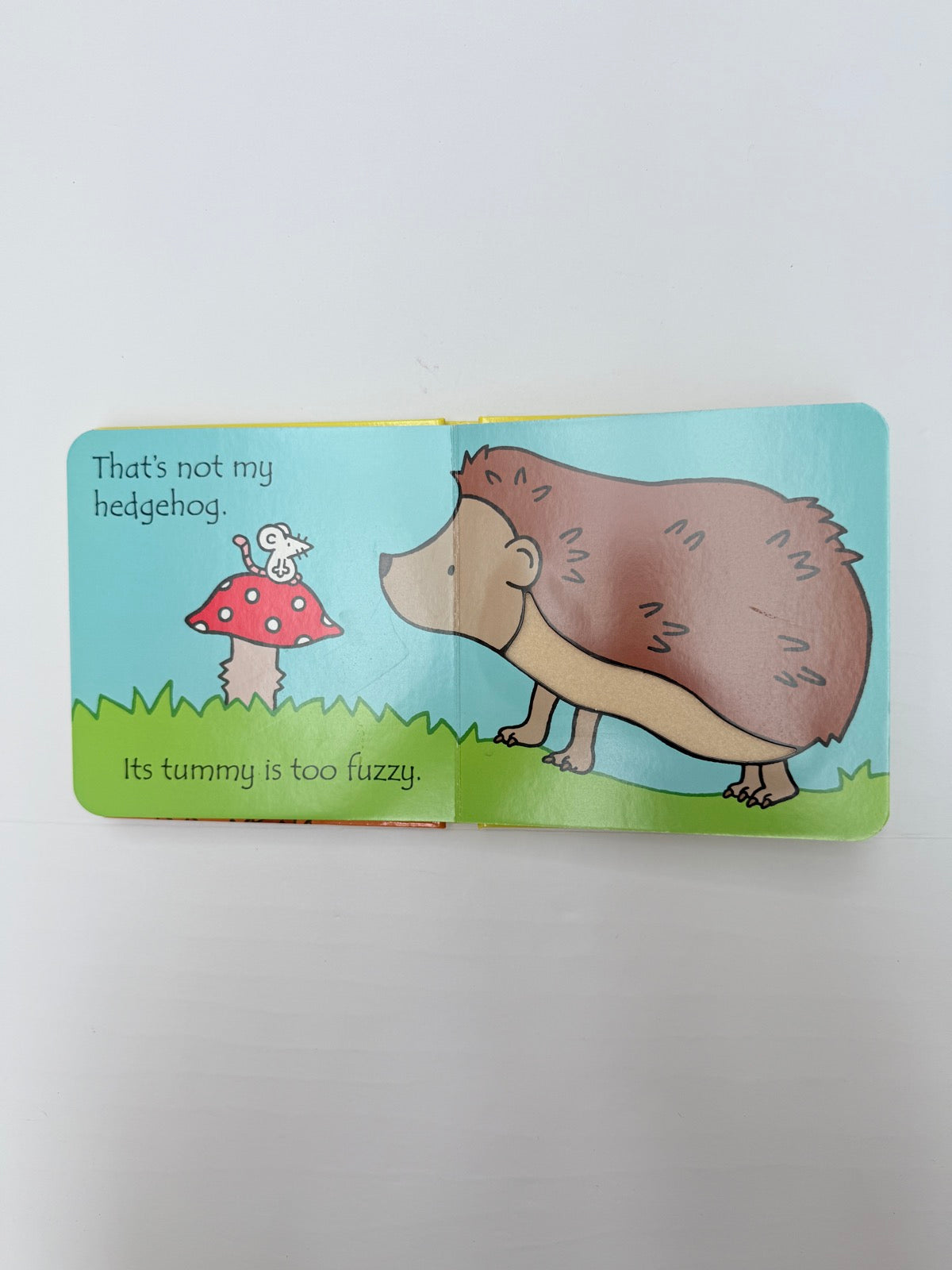 Fiona Watt That's Not My Hedgehog